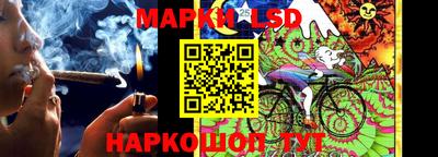 бошки Будённовск