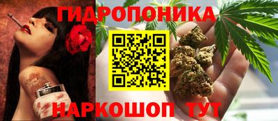 прущие грибы Бузулук